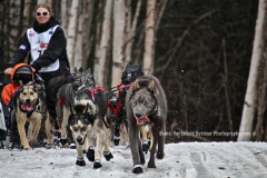 7-26 IDITAROD TRAIL_sm