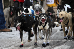 7-27 IDITAROD TRAIL_sm