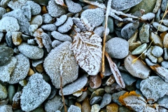 14-02-FROSTY-STONES