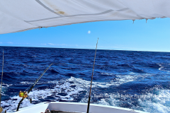 5-27 SOSUA FISHING_sm