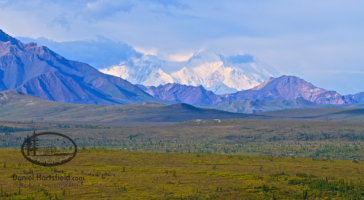 “Best shot that day” Denali National Park – Alaska